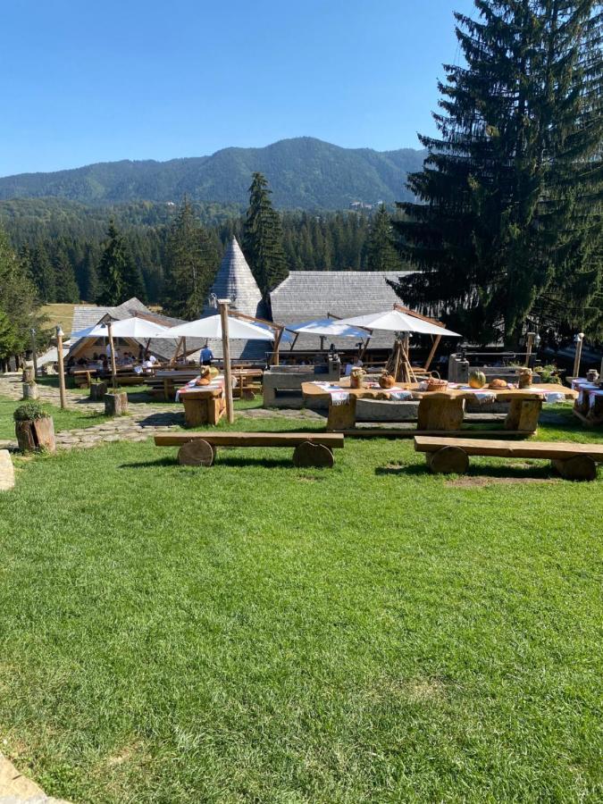 Pentahouse Mountain Belle Vue Poiana Brasov Exterior foto